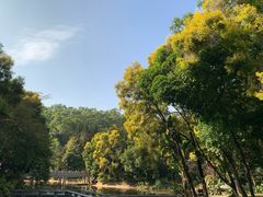 -深圳国际园林花卉博览园