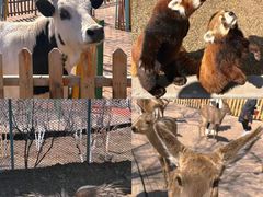 -水上乐园·欢乐世界