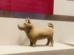 -四川宋瓷博物馆