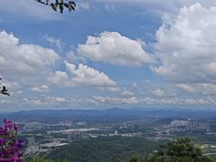 -黄埔油麻山森林公园