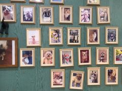 -严国平动物医院(德政总院)