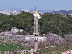 -苏州上方山国家森林公园