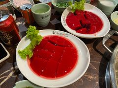 鲜鸭血-晓宇重庆火锅(赛格国际购物中心店)