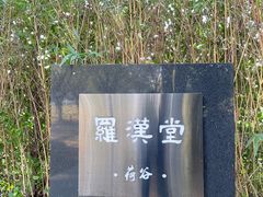 -罗汉堂·荷谷(礼智路店)