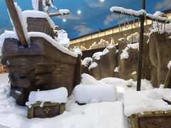 -世界之窗阿尔卑斯冰雪世界