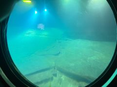 -白鹤梁水下博物馆