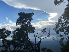 -海南热带雨林国家公园吊罗山景区