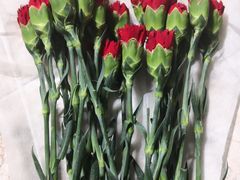-双季花艺园艺市场(浦东店)