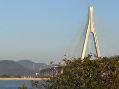 -芒洲湿地公园