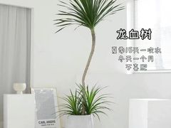-京东家装(昆明总店)