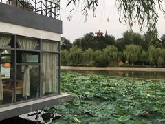 -榴莲咖啡馆