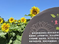 -郑州植物园