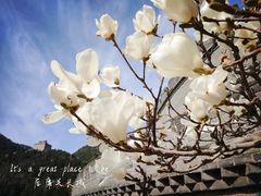 -居庸关长城