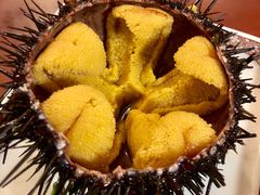 -樱の花亭日本料理店