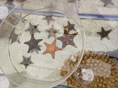 -上海海洋水族馆