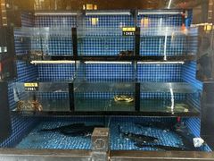 -千岛湖小鱼儿·淳安匠心农家菜