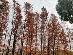 -中国移动南方基地