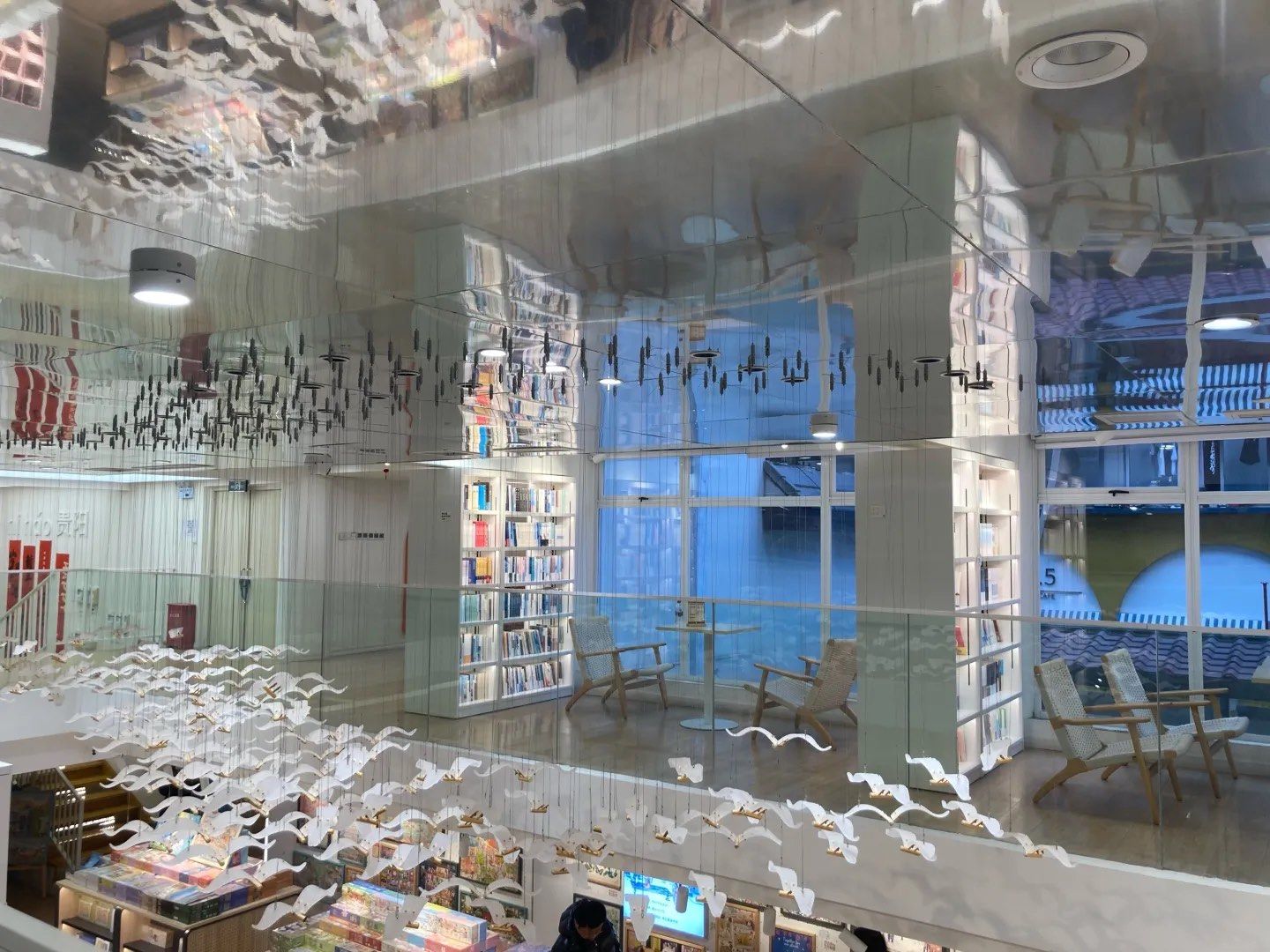 公园里的温馨治愈书店,猫咪控超爱