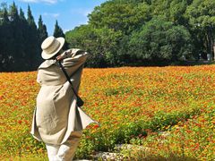 -华东政法大学(松江校区)