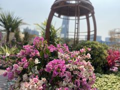 -海心沙亚运公园