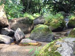 -七仙岭君澜度假酒店·桃源小馆中餐厅