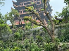 -黄鹤楼公园(黄鹤楼)