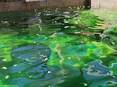 -国御温泉度假小镇