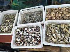 -渔家小院观海海肠捞饭地方菜(环海中路店)