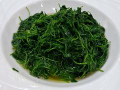 酒香草头-新雅粤菜馆(南京东路店)