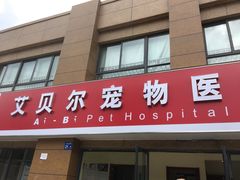 -艾贝尔宠物医院 ·内科全科(梁溪路店)