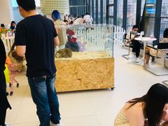 -怪兽屋·羊驼·猫咖·狗咖(俊华广场店)