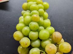 -马陆小张葡萄园农家乐