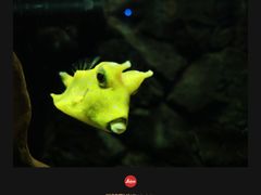 -大连圣亚海洋世界