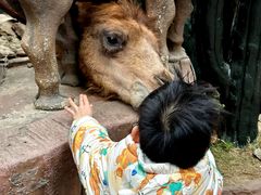 -长鹿旅游休博园