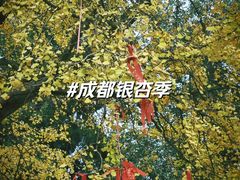 -金堂县云顶石城风景区