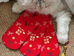 -Pantry's Best派悦坊蛋糕(K11购物艺术中心店)