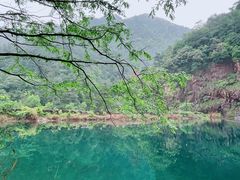 -大奇山国家森林公园