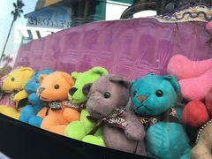 -济州岛泰迪熊博物馆