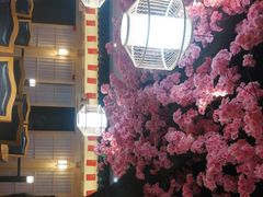 -九田家黑牛烤肉料理·自助(洪洞县城市花园店)