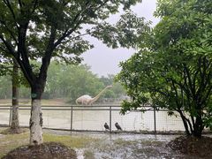 -上海海湾国家森林公园