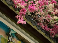 -深圳国际园林花卉博览园