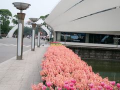 -上海鲜花港