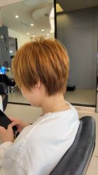 点击看大图 -GANO HAIR