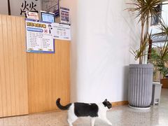 -侘山民宿(杭州西湖龙坞店)