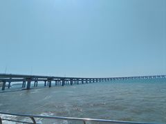 -星海湾跨海大桥