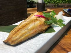 -森味薪火烧•烧鸟居酒屋•日本料理(望京店)