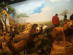 -陕西自然博物馆