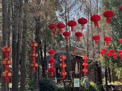 -云南民族村