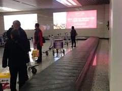-石家庄正定国际机场-T2航站楼