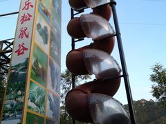 -欢乐松鼠谷
